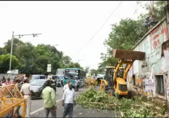 மசினகுடி யானை வழித்தடத்தில் 12 கட்டடங்கள் இடிப்பு