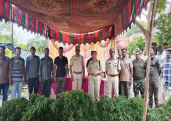Telangana police arrest father-son duo in ₹1.5-crore cannabis case