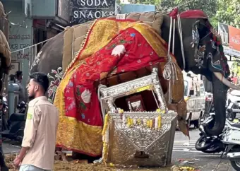 ಶಿವಮೊಗ್ಗ ದಸರಾದಲ್ಲಿ ಭಾರೀ ಅವಾಂತರ: ಬೆಳ್ಳಿ ಅಂಬಾರಿ ಹೊತ್ತಿದ್ದ 'ಸೋಮಣ್ಣ' ಆನೆ ದಿಢೀರ್ ಓಟ, ಅಂಬಾರಿ ಧ್ವಂಸ