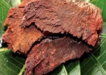 पुरानी से पुरानी दाद और खुजली को खत्म कर देगा ये देशी चीज