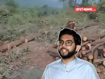 गुजरातच्या टोरंट पॉवर कंपनीसाठी हजारो झाडांची बेसुमार कत्तल, आदित्य ठाकरेंसह विरोधकांचे गंभीर आरोप