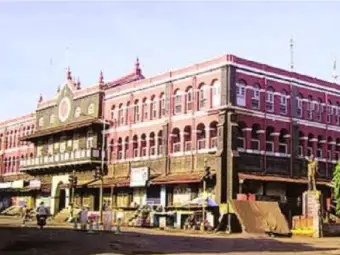 (म्हणे) 'दसर्‍याच्या निमित्ताने आपटा आणि कांचन वृक्षांची तोड करू नका !'