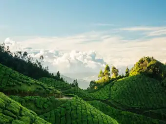 Discover the Serenity of Munnar: A Perfect Getaway in Kerala