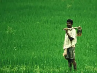 Farm Loan Waiver: Loan waiver funds have started reaching accounts; here is how you can avail the benefit..