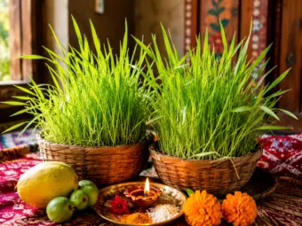 Why Do People in Uttarakhand Grow Harela Every Year?