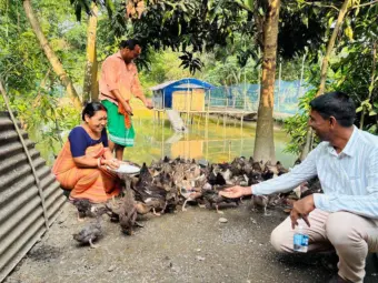 Beyond monoculture: How integrated farming is reviving Northeast India's farms