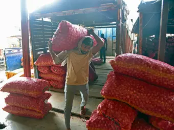Govt raises onion procurement price by 13% to Rs 2,125/quintal to ensure better returns for farmers
