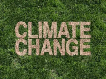 A New York-sized city is built monthly, raising climate fears