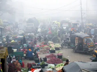 WPI inflation likely to breach 10% in September, remain elevated through 2026: Experts