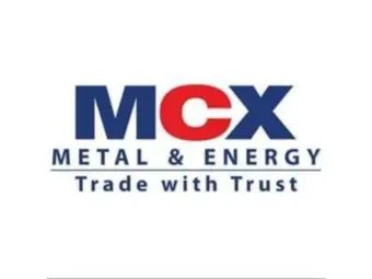 MCX, IAMAI form council to bring fintech, startups into commodity market innovation