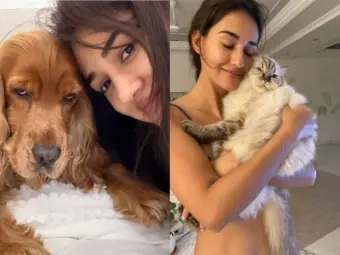 "You are forever loved...": Disha Patani mourns loss of beloved pets Bella, Jasmine; shares emotional tributes