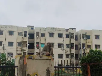 Ground Report: अयोध्या की कांशीराम आवासीय कॉलोनी, जलभराव, सफाई जैसे सुविधाओं के बीच रहने को मजबूर लोग