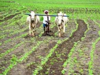 PM-AASHA 2026: ₹7,200 Crore Allocated for Farmers, Know How This Government Scheme Can Help