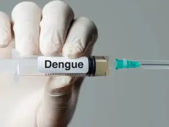 India Approves Its First Dengue Vaccine