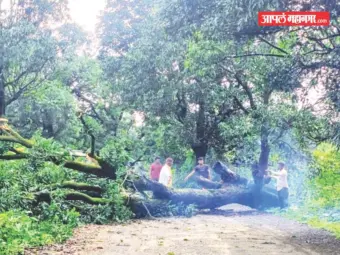 रस्ते रुंदीकरणासाठी शेकडो वर्षांच्या आंब्याच्या झाडांवर घाव