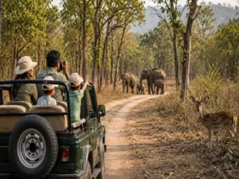 Best Monsoon Wildlife Destinations in India Where Nature Comes Alive During the Rainy Season