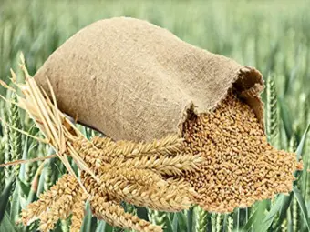 ୪ ବର୍ଷ ପରେ ଉଠିଲା ଗହମ ରପ୍ତାନି ଉପରୁ ପ୍ରତିବନ୍ଧକ:  ବିଦେଶକୁ ସହଜରେ ଯିବ ଅଟା,ମଇଦା ଓ ସୁଜି