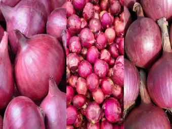 Onion Prices Soaring in Delhi? Government Plans to Sell Onions at Just ₹35 Per Kg