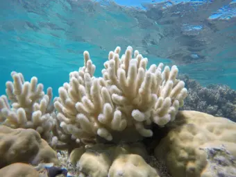 A record-shattering El Niño is almost here. Here's what that means for the world's weather
