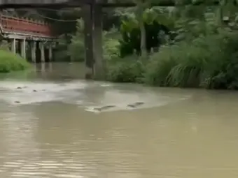 China Floods Latest News: CMA Warns of Heavy Rain in South China; Floods & Landslides Likely