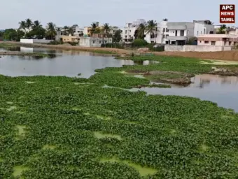 அரபாத் ஏரி புனரமைப்புப் பணிகள்: ஷெட்டர் அமைக்கப்படாததால் வீணாகும் மழைநீர் - மாநகராட்சி நிர்வாகத்தைக் கண்டித்து பொதுமக்கள் குமுறல்!