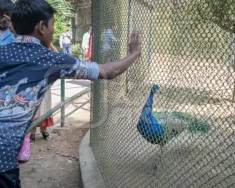 പക്ഷിപ്പനി സ്ഥിരീകരിച്ചു; ചെന്നൈ വണ്ടലൂര്‍ മൃഗശാല രണ്ട് ദിവസത്തേക്ക് അടച്ചു