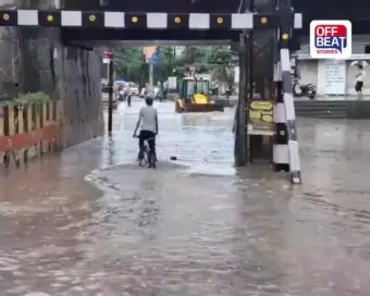 જૂનાગઢમાં અનરાધાર વરસાદથી રસ્તાઓ પર ફરી વળ્યા પાણી: શહેરમાં ઝાંઝરડા અંડરપાસમાં પાણી ભરાયા, માંગરોળ-વંથલી પંથકમાં મગફળીના પાકને મળ્યું નવજીવન