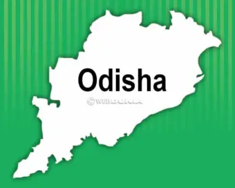 5 baby orangutans rescued from Odisha, smuggling suspected