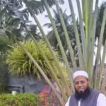 ایک باوقار عالم اور باکمال استاذحضرت مولانا الیاس صاحب رحمۃ اللہ علیہ