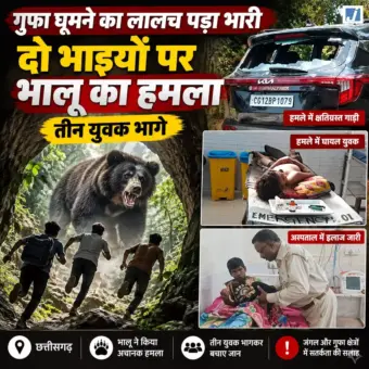 कोरबा में खौफनाक मंजर, भालू से भिड़ गया भाई पत्थर मारकर बचाया मासूम