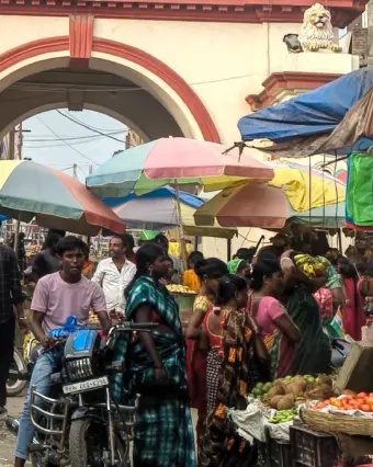 गिद्धौर में 14 को हरतालिका तीज पर तृतीया-चतुर्थी का दुर्लभ संयोग, सुहागिनें रखेंगी पति की लंबी उम्र के लिए निर्जला व्रत