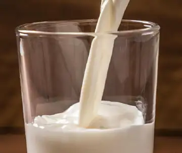 A2 milk