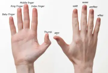 How Do You Finger Someone
