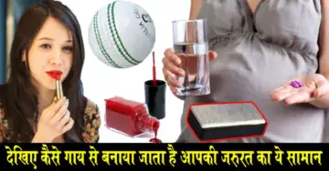 गाय को क़त्ल करके बनाई जाती है सेंकडो चीजे, आप भी इस्तेमाल करते है ये सब प्रोडक्ट,, “ ˌ गाय को क़त्ल करके बनाई जाती है सेंकडो चीजे, आप भी इस्तेमाल करते है ये सब प्रोडक्ट,, “ ˌ