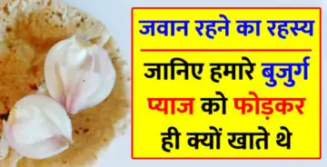 सब औजार होने के बावजूद भी हमारे बुजुर्ग प्याज को फोड़ कर ही क्यों खाते थे? मजेदार है इसका कारण„