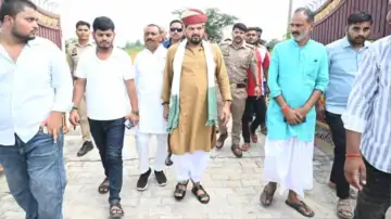 बृजभूषण शरण सिंह का राजनीतिक क्षेत्र
