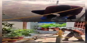رانچی میں آر ایس ایس کے دفتر پر پٹرول بم حملے کی تحقیقات تیز، ایس آئی ٹی تشکیل