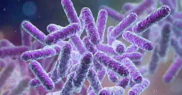 Shigella cases reported across Kerala; 55 hospitalised, situation under control, says minister