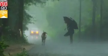 ഇന്നും കനത്ത മഴ, 3 ജില്ലകളില്‍ യെല്ലോ അലര്‍ട്ട്, മത്സ്യത്തൊഴിലാളികള്‍ക്ക് ജാഗ്രതാ നിര്‍ദേശം