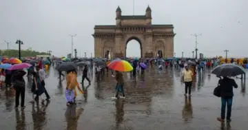 मान्सूनचा वेग वाढला; मुंबईसह राज्यात मुसळधार पावसाची शक्यता, अनेक भागांना यलो अलर्ट