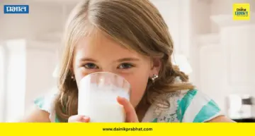 Daily Milk Intake: जास्त दूध पिणंही ठरू शकतं धोकादायक! दररोज किती दूध प्यावं? जाणून घ्या फायदे आणि दुष्परिणाम