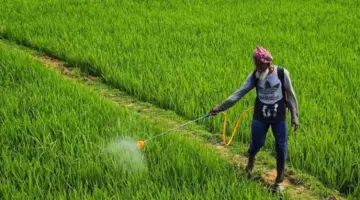 ICAR-IIOR Promotes Partnerships with Public and Private Seed Systems for Large-Scale Adoption
