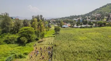 CIFOR and ICRAF Relaunch as 'Landscape Alliance' to Scale Nature-Based Solutions Worldwide