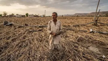 'अल-निनो'चा वाढता प्रभाव शेतकऱ्यांसाठी धोक्याचा; अपेक्षित पाऊस न झाल्याने दुबार पेरणीची टांगती तलवार