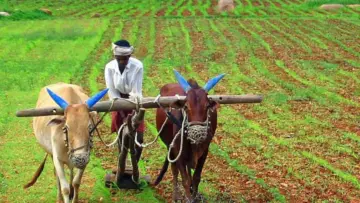 Deliver tenant farmers' rights, Telangana activists warn Congress
