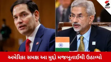 US Navy Attack : 'કોમર્શિયલ જહાજો પર હુમલો અયોગ્ય', 3 ભારતીયોના મોત પર એસ. જયશંકરે અમેરિકાને ઝાટકી નાંખ્યું