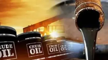 Crude Oil Prices Fall: ట్రంప్ ప్రకటనతో భారీగా పడిపోయిన ముడిచమురు ధరలు.. పెట్రోల్, డీజిల్, ఎల్పీజీ ధరలు తగ్గే ఛాన్స్!