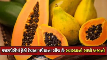 પપૈયા કરતા પણ વધુ ગુણકારી છે તેના કાળા બીજ! જાણો ડિટોક્સ અને મેટાબોલિઝમ વધારવા કેવી રીતે કરવો તેનો ઉપયોગ