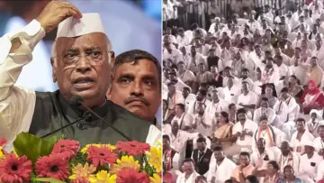'કીપ ક્વાઇટ, યુઝલેસ ફેલોસ..' પોતાના જ પક્ષના કાર્યકરો પર શા માટે ગુસ્સે ભરાયા કોંગ્રેસ અધ્યક્ષ ખડગે?
