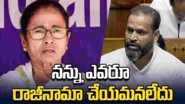 నన్ను ఎవరూ ఎంపీ పదవికి రాజీనామా చేయమనలేదు: యూసఫ్ పఠాన్